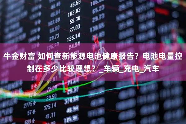 牛金财富 如何查新能源电池健康报告？电池电量控制在多少比较理想？_车辆_充电_汽车