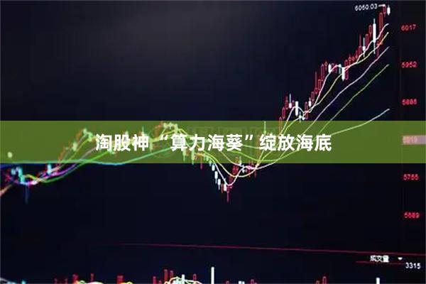 淘股神 “算力海葵”绽放海底