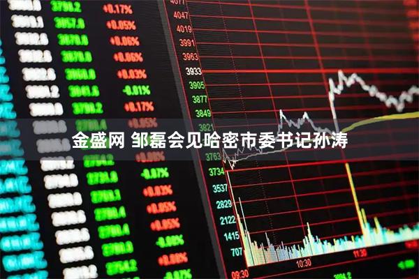 金盛网 邹磊会见哈密市委书记孙涛